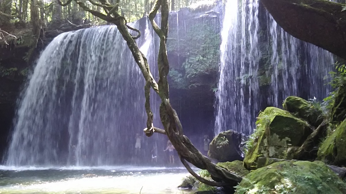 「愛の抜けた映画ブログ」・洋画のドキュメンタリー映画カテゴリー